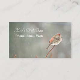 Tarjeta De Visita Finch de la casa en una sucursal