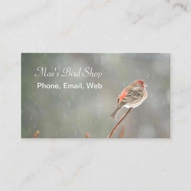 Tarjeta De Visita Finch de la casa en una sucursal (Anverso)