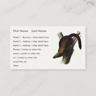 Tarjeta De Visita Fisher (Marten de Pennant o Pescador de Gatos) de