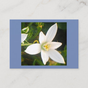 Tarjeta De Visita Flor blanca