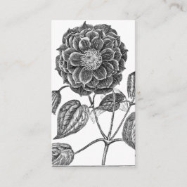 Tarjeta De Visita Flor Botánica