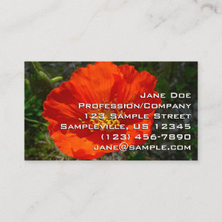 Tarjeta De Visita Flor colorida de adormidera roja de Alaska