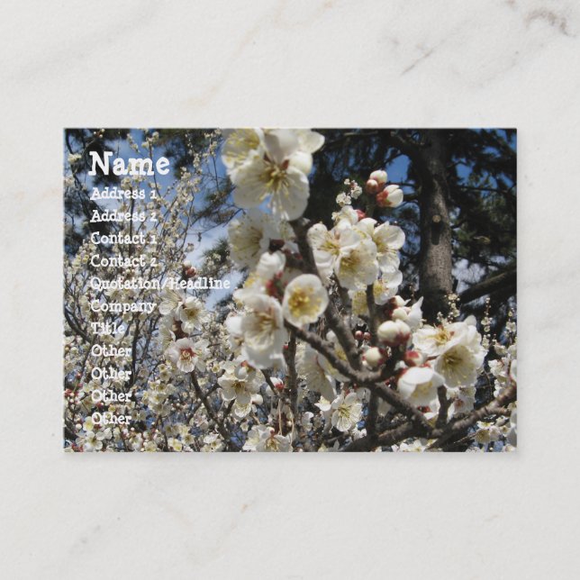 Tarjeta De Visita Flor de cerezo blanco / サ・(桜) Sakura/Sakura de cer (Anverso)