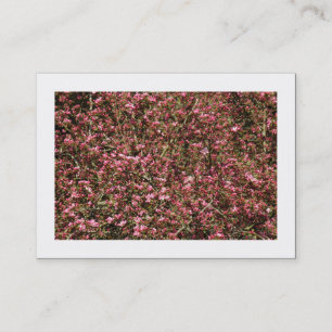 Tarjeta De Visita Flor de cerezo rosa 02 (bordeada)