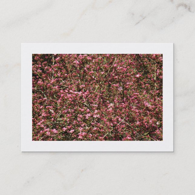 Tarjeta De Visita Flor de cerezo rosa 02 (bordeada) (Anverso)