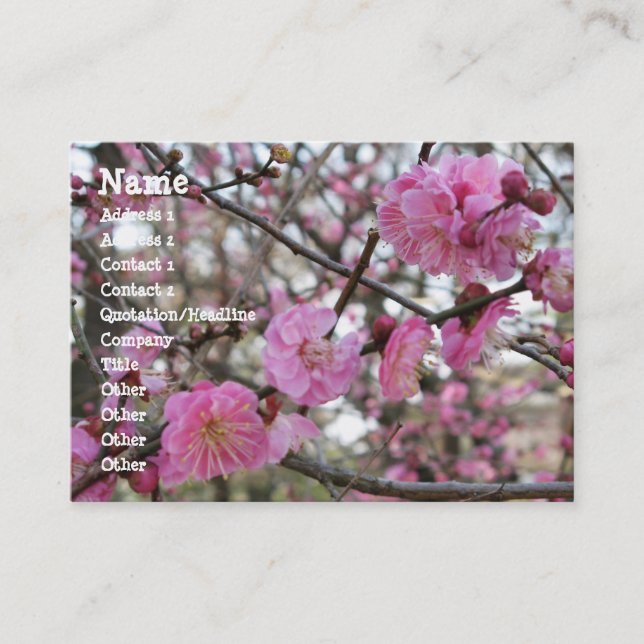Tarjeta De Visita Flor de cerezo rosado / Sakura サ・(桜). (Anverso)