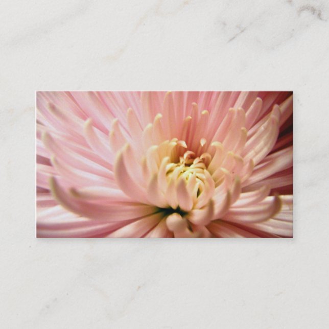 Tarjeta De Visita flor de crisantemo rosa claro (Anverso)