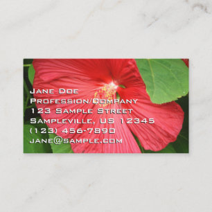 Tarjeta De Visita Flor de Hibisco Magenta Brillante Floral