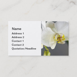 Tarjeta De Visita Flor de orquídea blanca