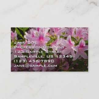 Tarjeta De Visita Flor de primavera rosada de Azalea Bush