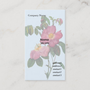 Tarjeta De Visita Flor de rosa silvestre rosa, Pierre Joseph Redouté