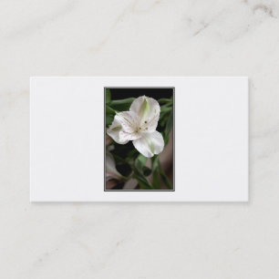 Tarjeta De Visita Flor del lirio