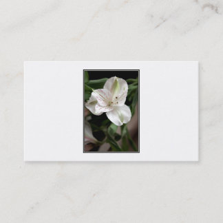 Tarjeta De Visita Flor del lirio