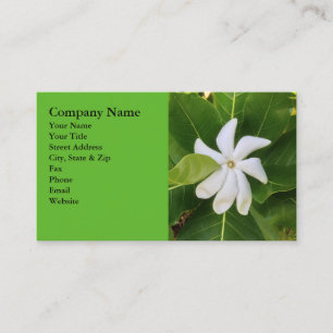 Tarjeta De Visita Flor hawaiano del jazmín de Pikake