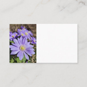 Tarjeta De Visita Flor morada