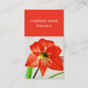 Tarjeta De Visita Flor roja amarillis