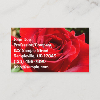 Tarjeta De Visita Flor rosa roja brillante hermosa flor