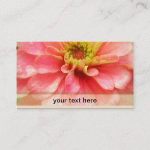 Tarjeta De Visita Flor rosada suave del Zinnia