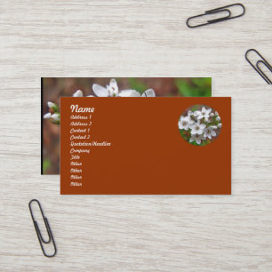 Tarjeta De Visita Flor silvestre blanca y mosca de abeja