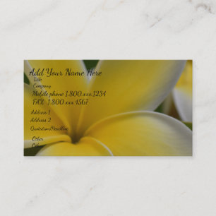 Tarjeta De Visita Flor tropical del Frangipani del Plumeria