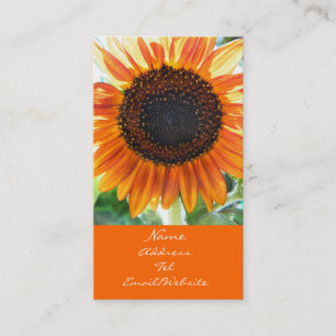 Tarjeta De Visita Floración anaranjada del girasol