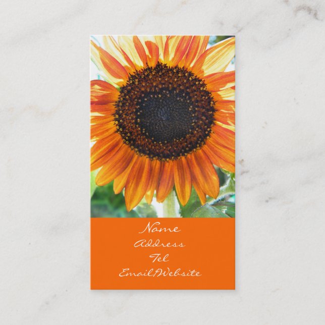 Tarjeta De Visita Floración anaranjada del girasol (Anverso)