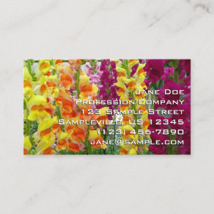 Tarjeta De Visita Floral colorida de Snapdragons
