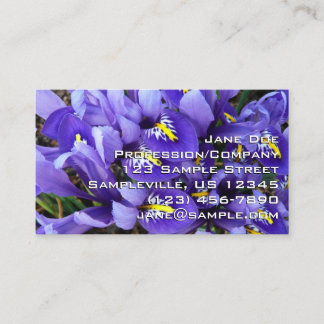 Tarjeta De Visita Floral de primavera de irlandeses azules en miniat
