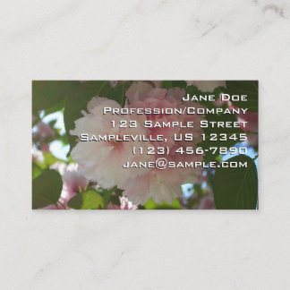 Tarjeta De Visita Floral de primavera del árbol de cerezo doble flor