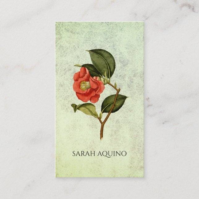 Tarjeta De Visita Floral De Rosa Camellia Sobre Salvia Texturada (Anverso)