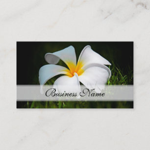 Tarjeta De Visita Flores blancas de Hawaii del Frangipani del
