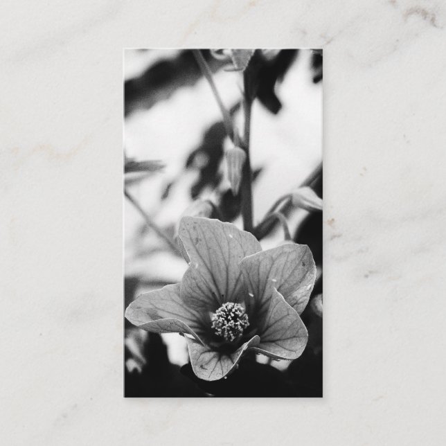 Tarjeta De Visita Flores blancas y negras (Anverso)
