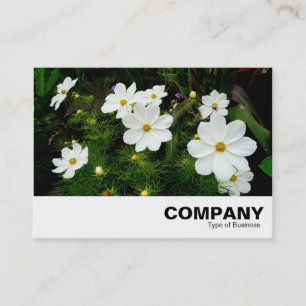 Tarjeta De Visita Flores Cosmos Blancas