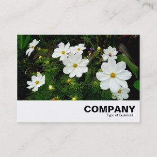 Tarjeta De Visita Flores Cosmos Blancas