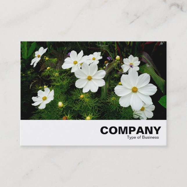 Tarjeta De Visita Flores Cosmos Blancas (Anverso)