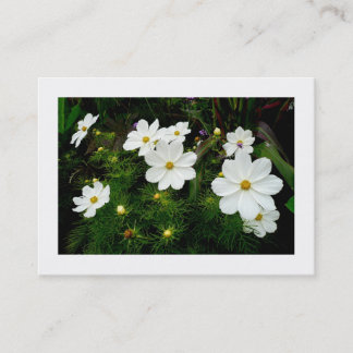 Tarjeta De Visita Flores Cosmos Blancas, Mini Fotografía