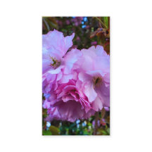 Flores de cerezo rosadas