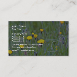 Tarjeta De Visita Flores de hawkbit rudo (Leontodon Hispidus)