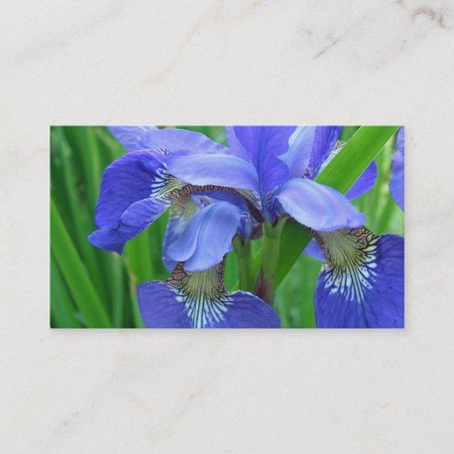 Tarjeta De Visita flores de iris azules (Anverso)