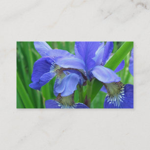 Tarjeta De Visita flores de iris azules