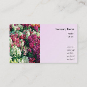 Tarjeta De Visita flores de jardín de colores bonitos