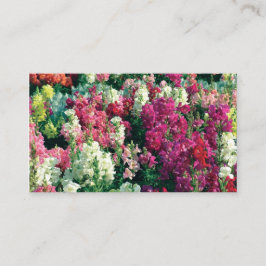 Tarjeta De Visita flores de jardín de colores bonitos