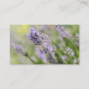 Tarjeta De Visita Flores de la lavanda