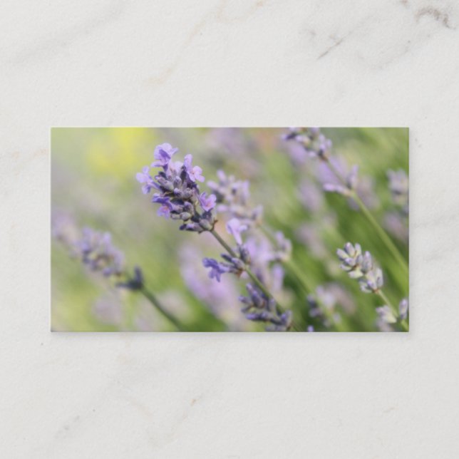 Tarjeta De Visita Flores de la lavanda (Anverso)
