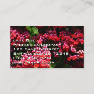 Tarjeta De Visita Flores de Pagoda Coloridas Rojas y Rosadas