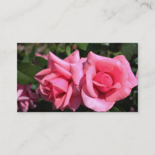 Tarjeta De Visita flores de rosa rosa caliente perfectas dobles herm