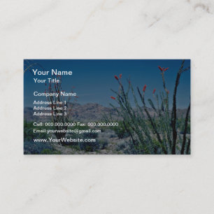 Tarjeta De Visita Flores florecientes rojas del Ocotillo