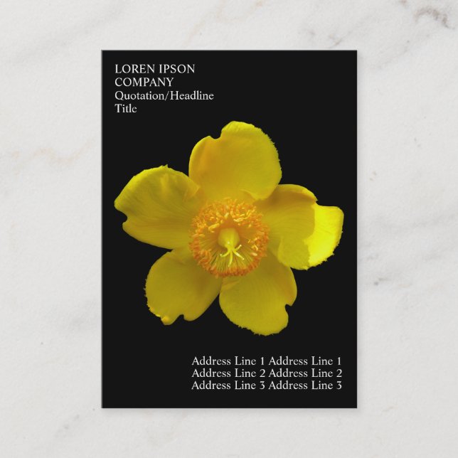 Tarjeta De Visita Flores mínimas - Hierba de San Juan - Negro (Anverso)