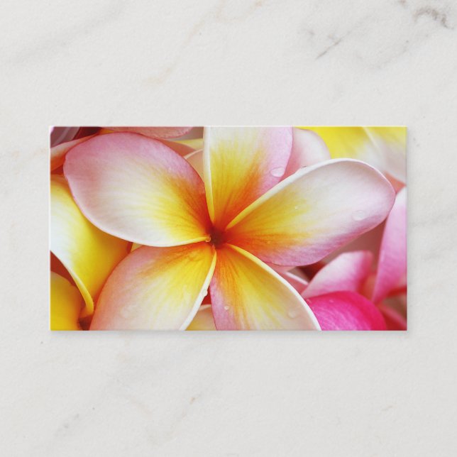 Tarjeta De Visita Flores púrpuras amarillas rosadas del Frangipani (Anverso)