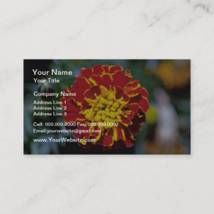 Tarjeta De Visita Flores rojas y amarillas de la maravilla